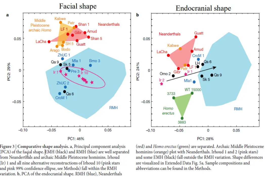 Pasted image 20251113112916.webp