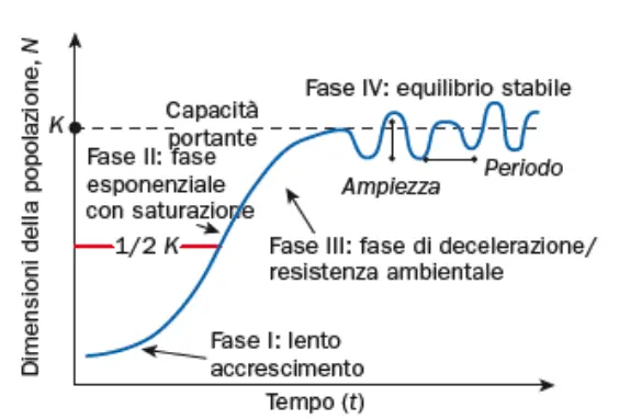 UNIVERSITA'/ECOLOGIA/image-7.webp|400