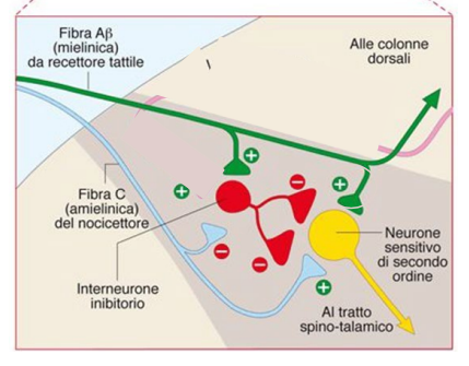 image-12.png|400|364x284