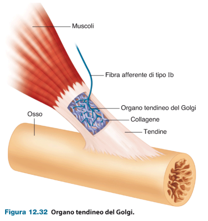 image-68.png|300